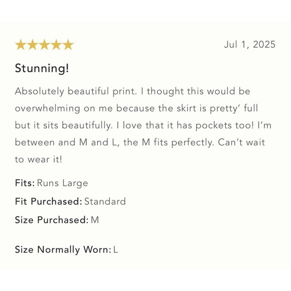 NWT Size XL - Anthropologie The Jacie Poplin Printed Maxi Skirt (NWT US$ 148) - Picture 11 of 16